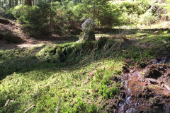 mossautal-100_10