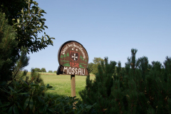 mossautal-100_15