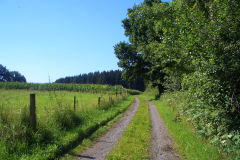 mossautal-100_16