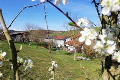 wohnen-kredel-mossautal_8