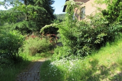 wohnen-nibelungenwald-mossautal_8