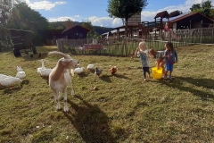 wohnen-hoschbachhof-mossautal_1